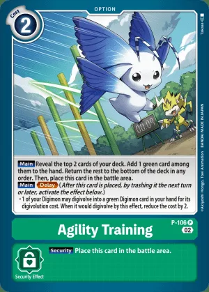 Agility Training